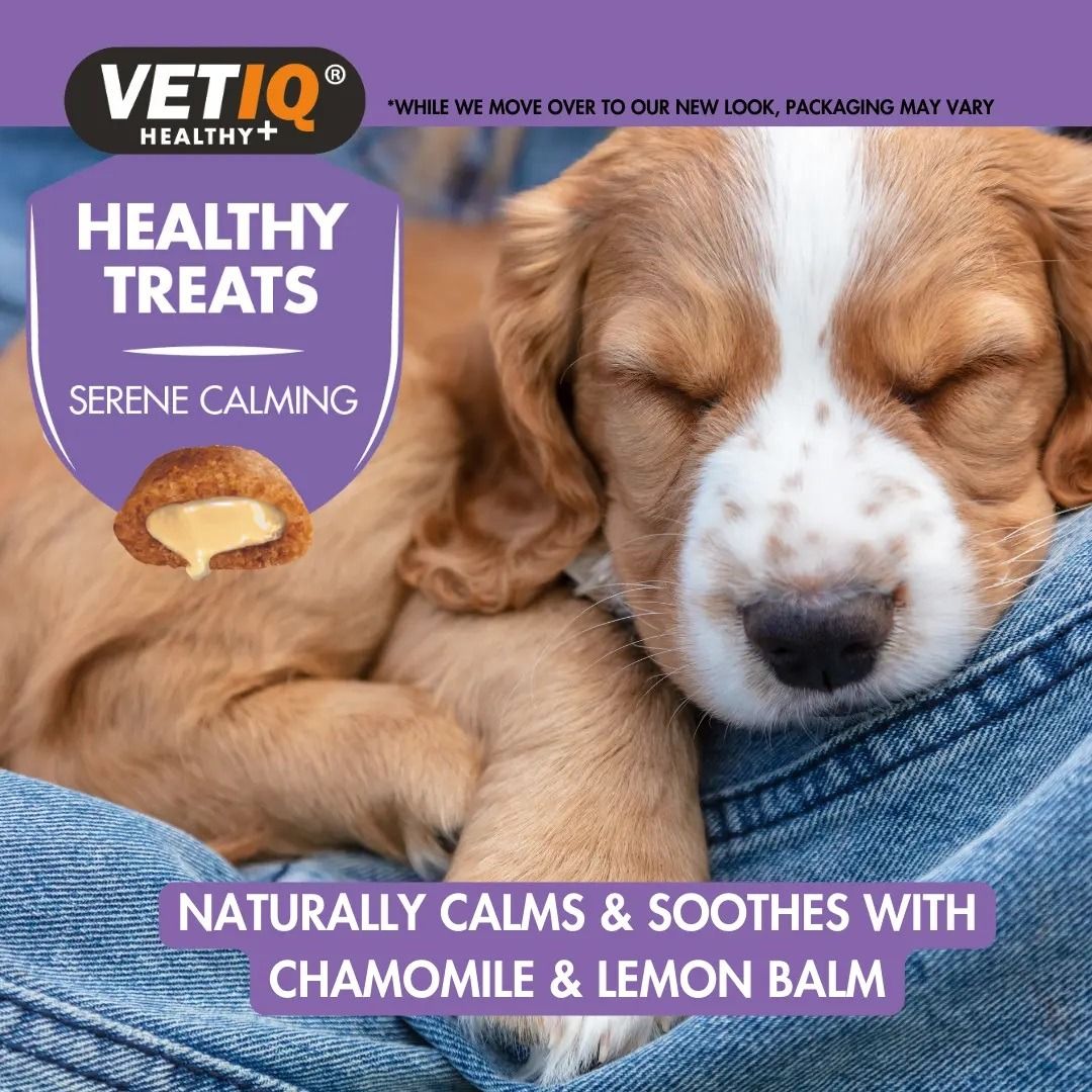 VetIQ Healthy Treats Serene Calming Dog Treats 50g - 50G - Shopivet.com