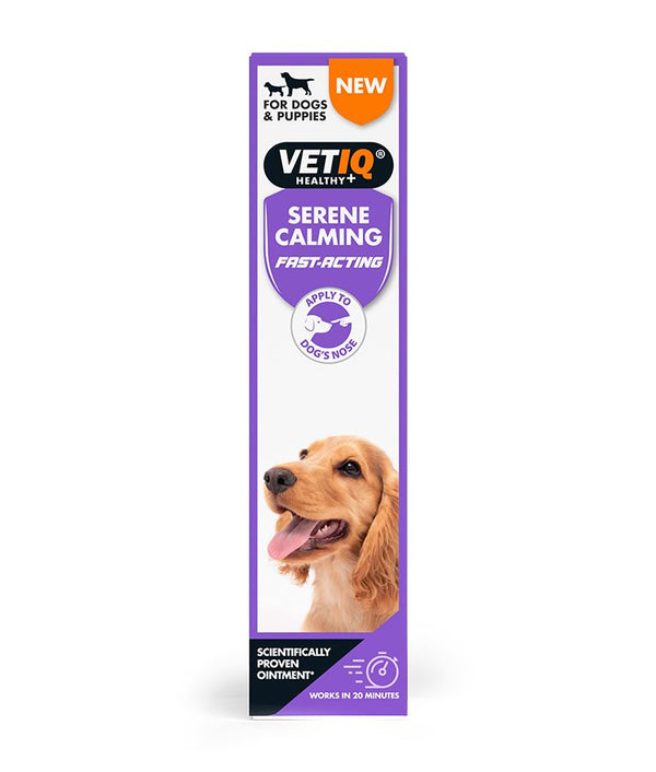 VetIQ Serene Calming Dog Ointment 50g - 50g - Shopivet.com