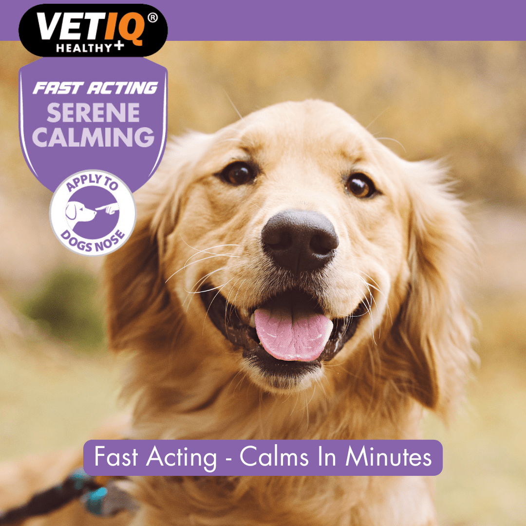 VetIQ Serene Calming Dog Ointment 50g - 50g - Shopivet.com
