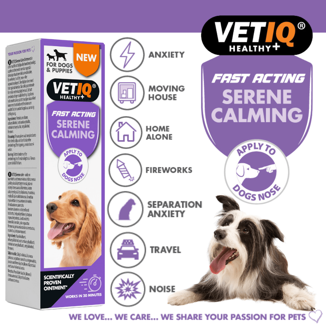 VetIQ Serene Calming Dog Ointment 50g - 50g - Shopivet.com