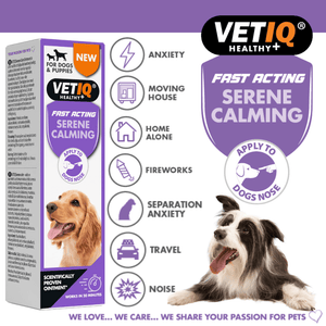 VetIQ Serene Calming Dog Ointment 50g - 50g - Shopivet.com