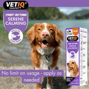 VetIQ Serene Calming Dog Ointment 50g - 50g - Shopivet.com