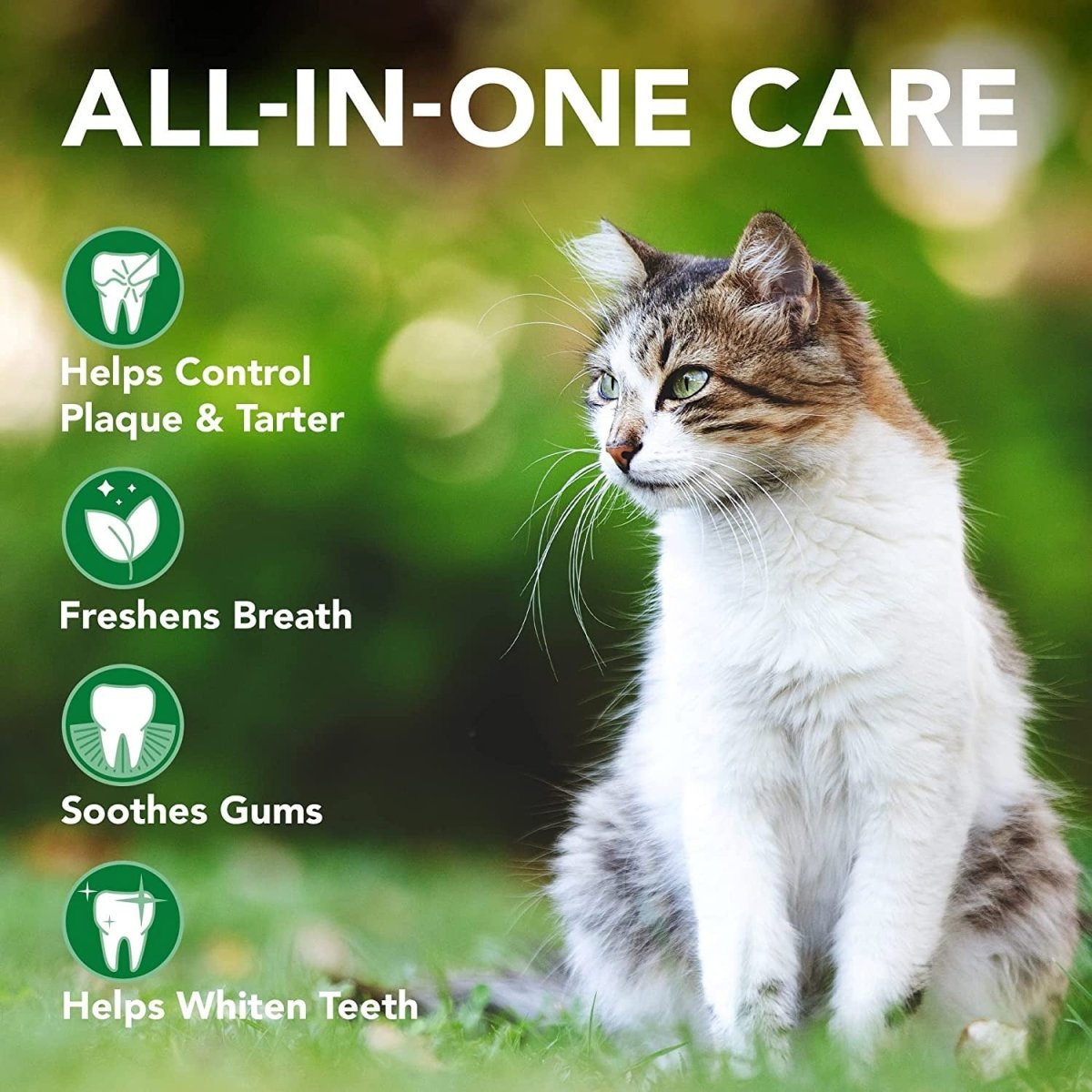 Vet’s Best Advanced Dental Powder for Cats – 45g - Shopivet.com