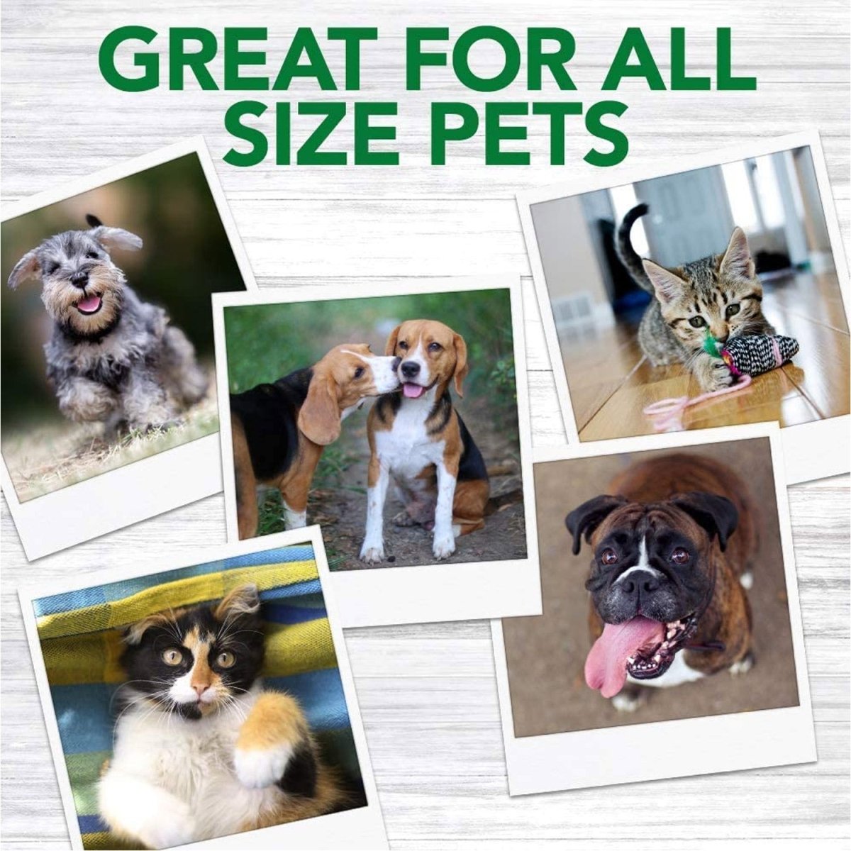 Vet’s Best Advanced Dental Powder for Dogs – 90g - Shopivet.com