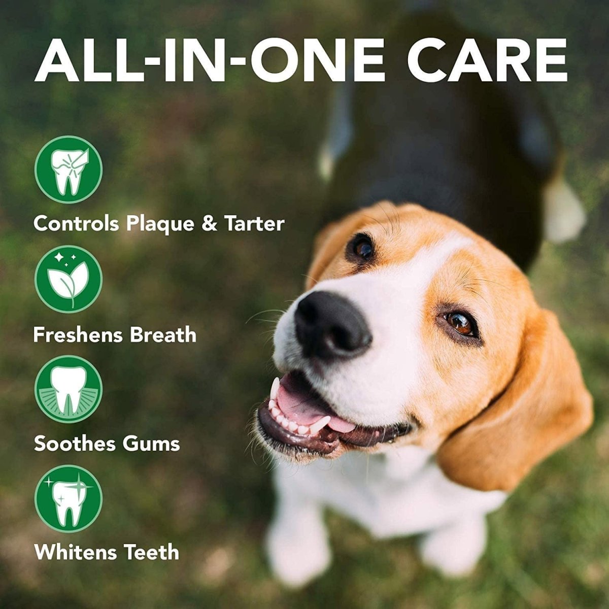 Vet’s Best Advanced Dental Powder for Dogs – 90g - Shopivet.com
