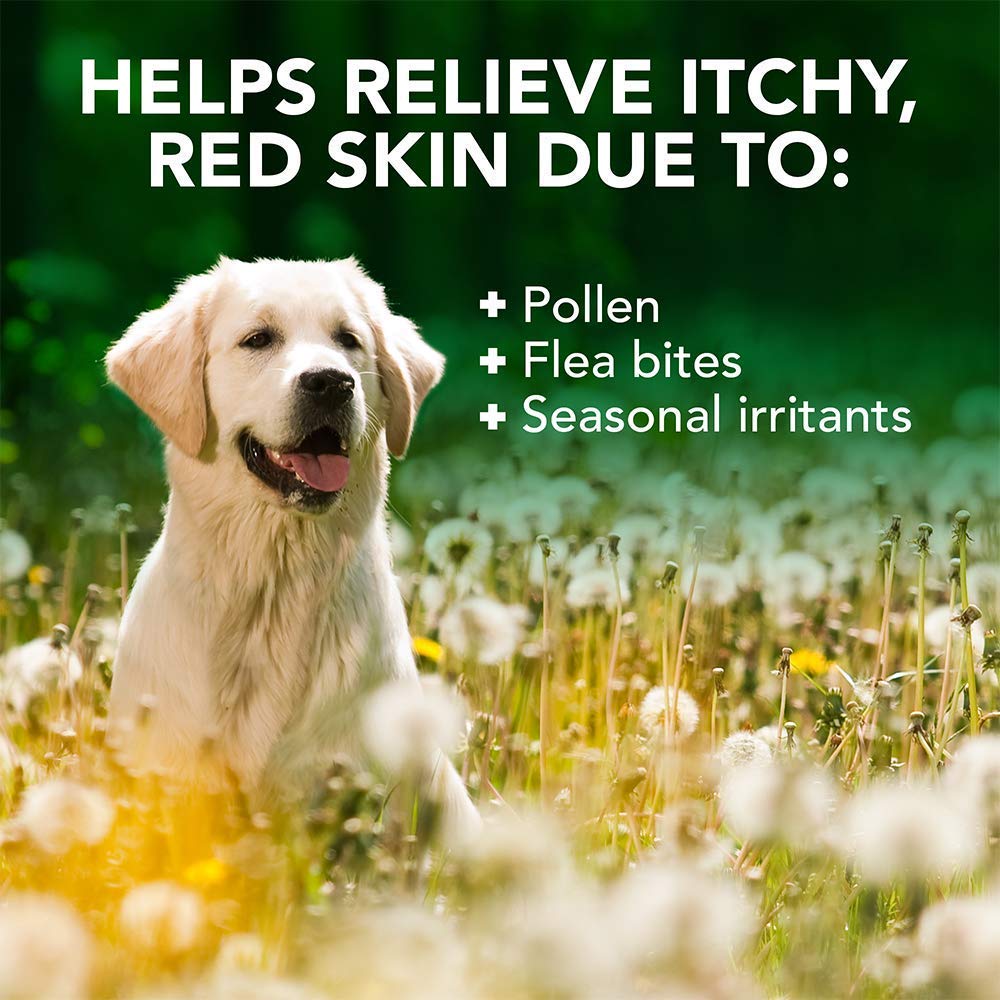 Vet’s Best Allergy Itch Relief Dog Shampoo 16 oz - Shopivet.com