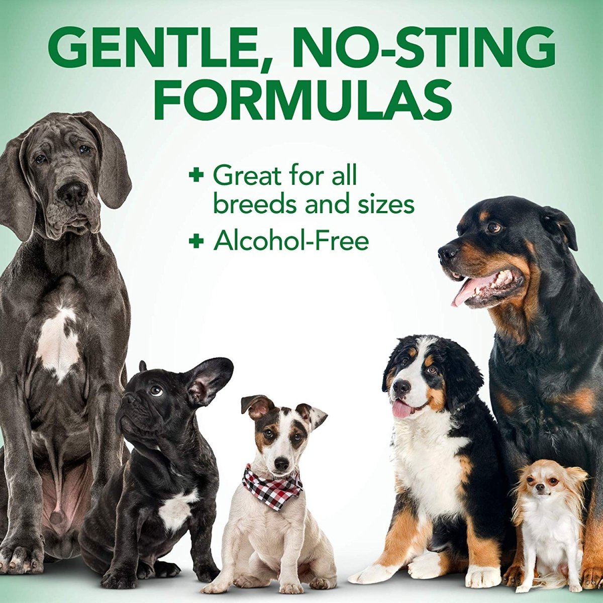 Vet’s Best Allergy Itch Relief Spray for Dogs 8 oz - Shopivet.com