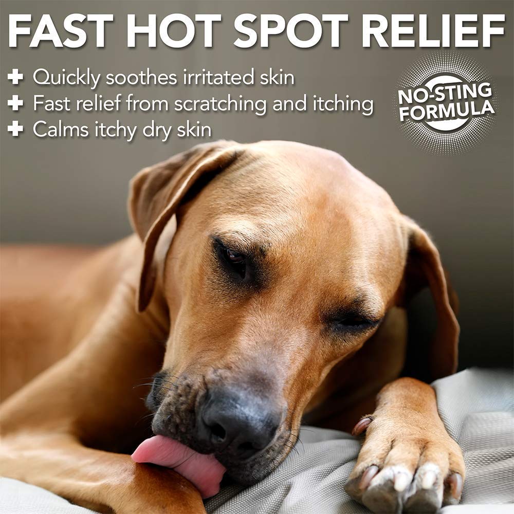 Vet’s Best Allergy Itch Relief Spray for Dogs 8 oz - Shopivet.com