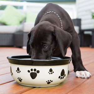 Vet’s best Breath Freshener 500ml - Shopivet.com