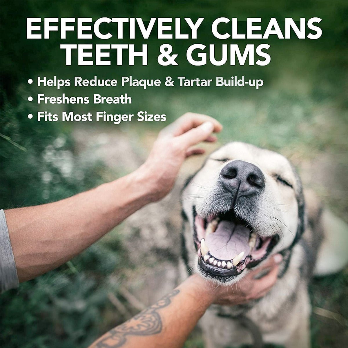 Vet’s Best Clean Teeth Finger Pads (50 Pads) - Shopivet.com