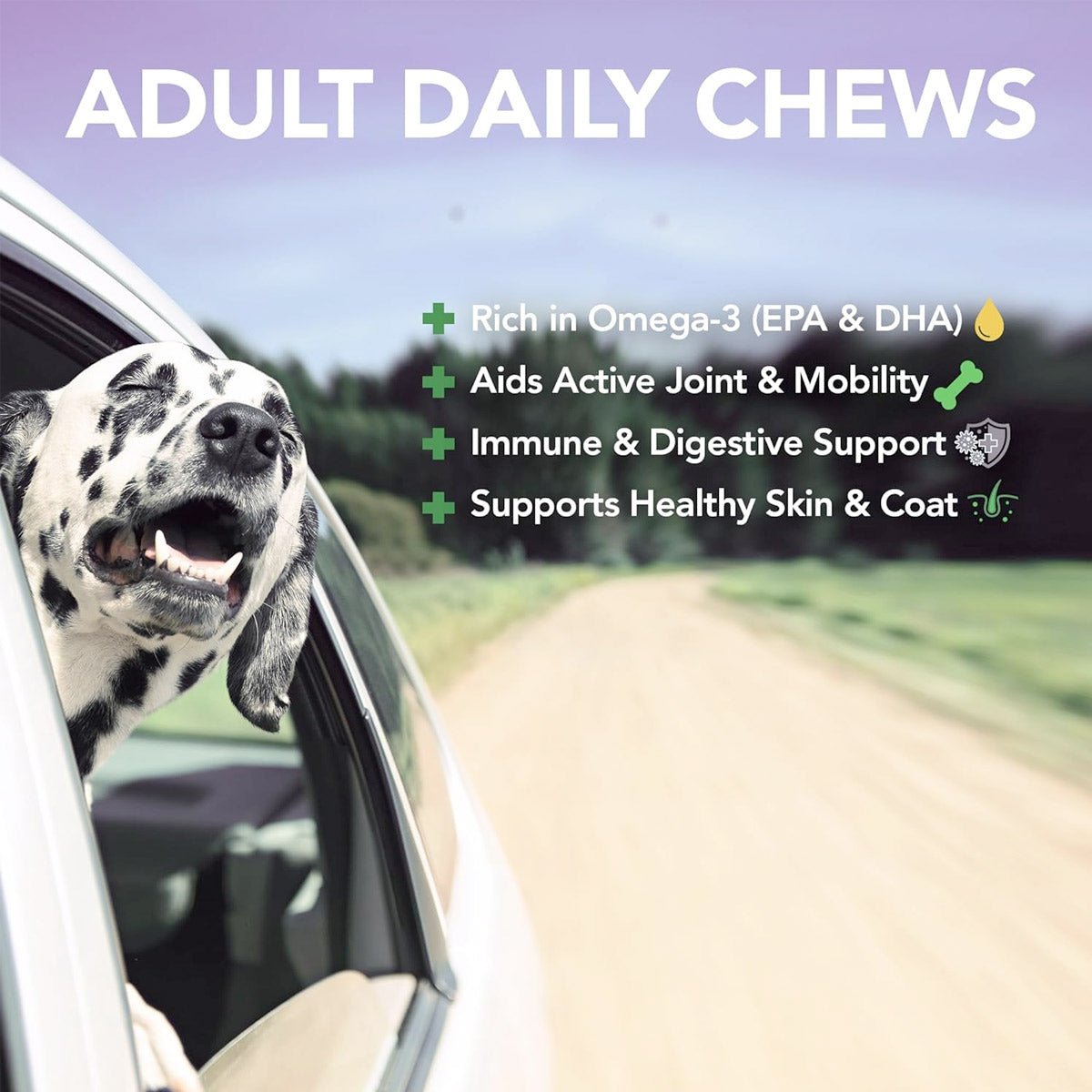 Vet’s Best Daily Chews (180 Soft Chews) – Adult - Shopivet.com