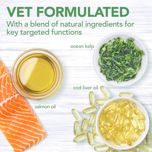Vet’s Best Daily Chews (180 Soft Chews) – Junior - Shopivet.com