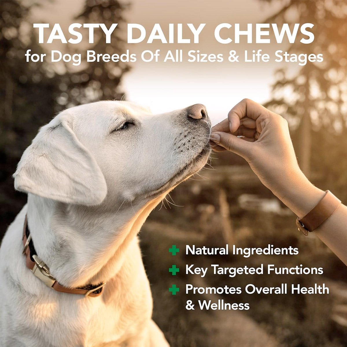 Vet’s Best Daily Chews (180 Soft Chews) – Junior - Shopivet.com