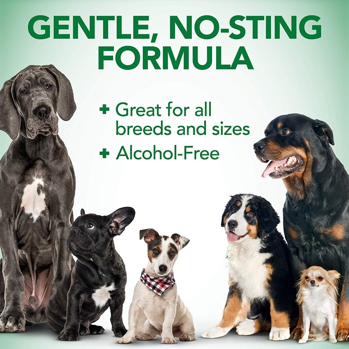Vets Best Ear Relief Dry (4oz) - Shopivet.com