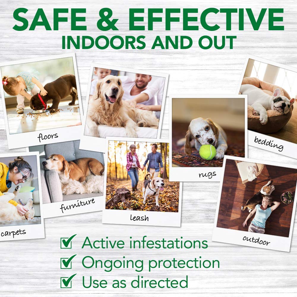 Vet’s Best Flea and Tick Home Treatment Spray (8 oz) - Shopivet.com