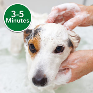 Vet’s Best Flea Itch Relief Shampoo 16 - oz - Shopivet.com
