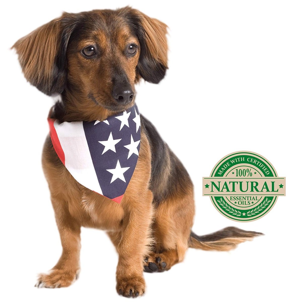 Vet’s Best Flea & Tick Spot On - Shopivet.com