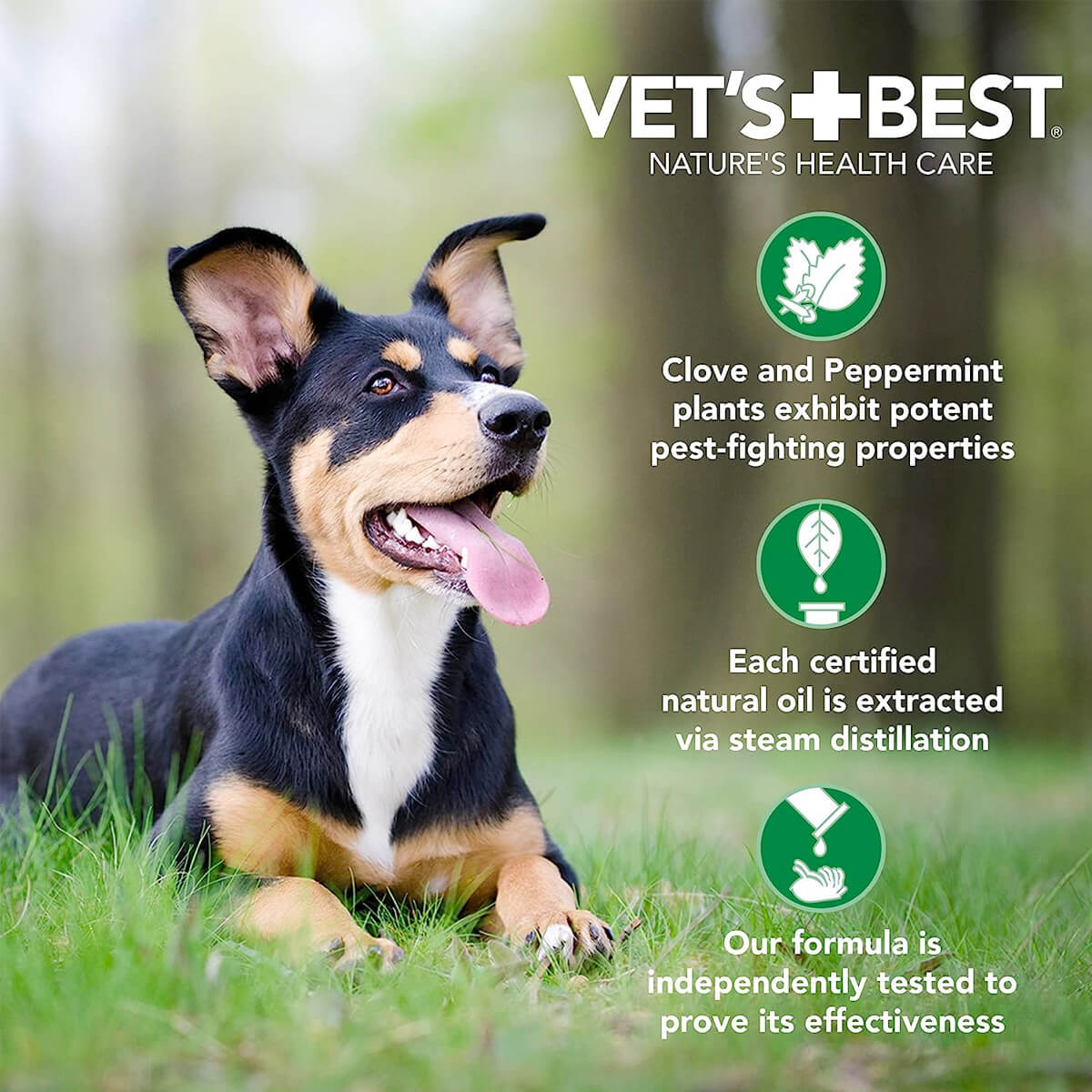 Vet’s Best Flea + Tick Yard & Kennel Spray (32 oz) - Shopivet.com
