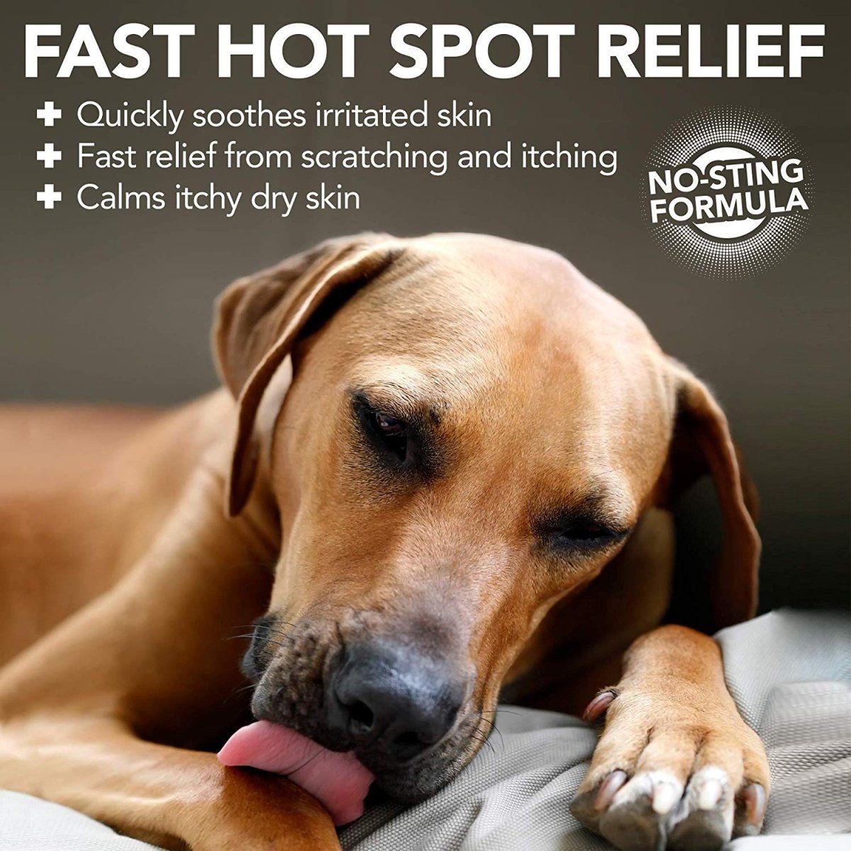 Vet’s Best Hot Spot Foam (4oz) - Shopivet.com