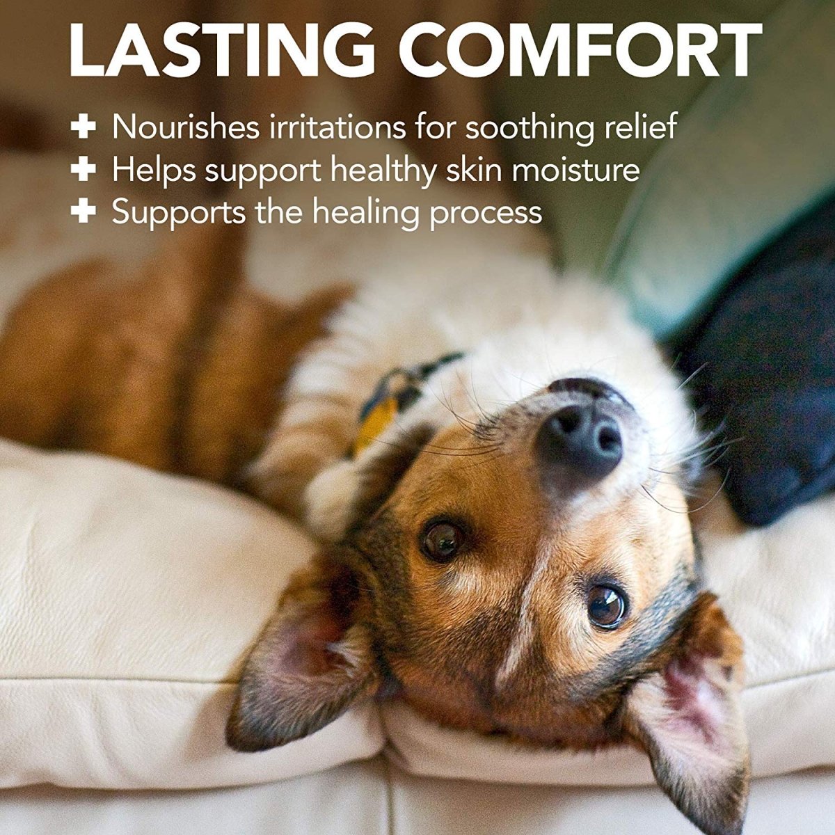 Vet’s Best Hot Spot Foam (4oz) - Shopivet.com
