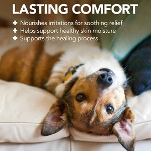 Vet’s Best Hot Spot Foam (4oz) - Shopivet.com