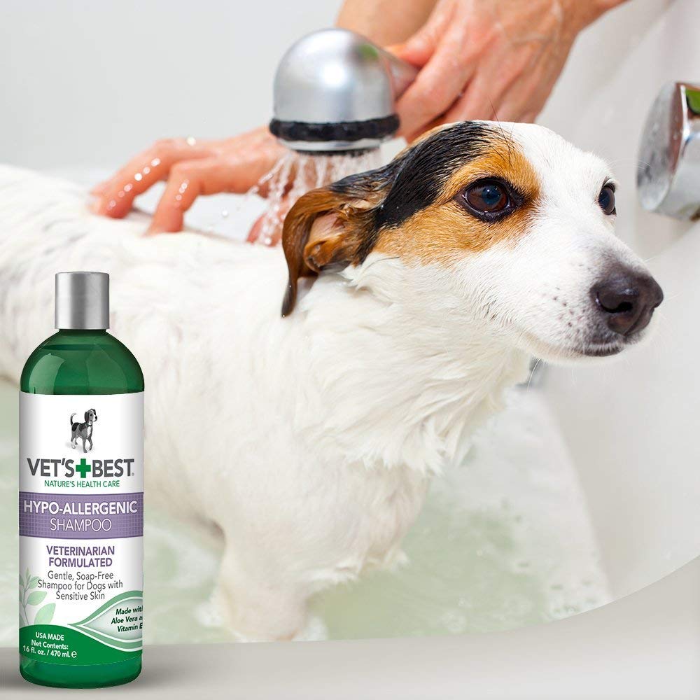 Vet’s Best Hypo - Allergenic Shampoo (16oz) - Shopivet.com