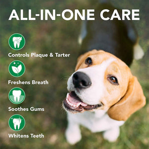 Vets Best Triple Headed Toothbrush for Dogs - Shopivet.com