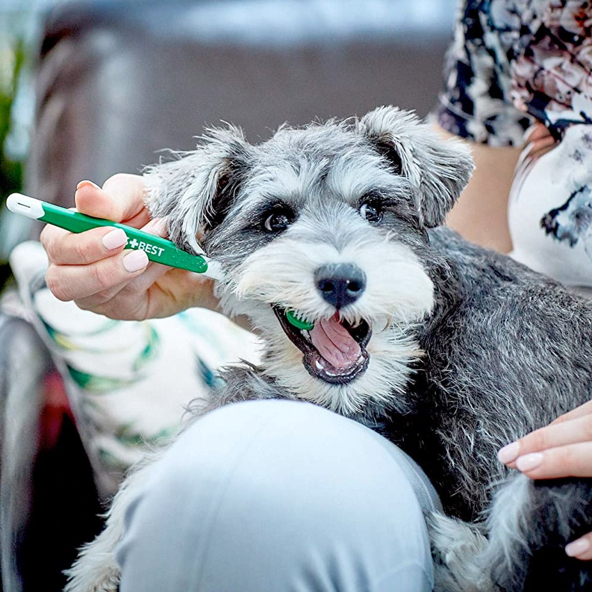 Vets Best Triple Headed Toothbrush for Dogs - Shopivet.com