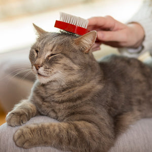 Vet’s Best Waterless Cat Bath 4oz - Shopivet.com