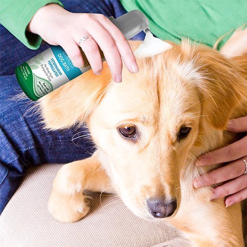 Vet’s Best Waterless Dog Bath 5oz - Shopivet.com