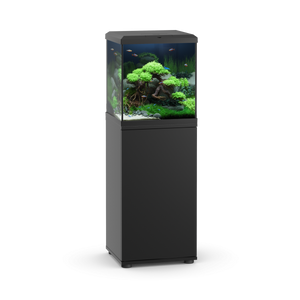 Vio Cube 54 Black