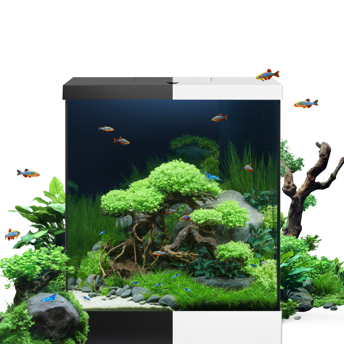 Vio Cube 54 White