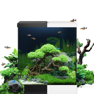 Vio Cube 54 White
