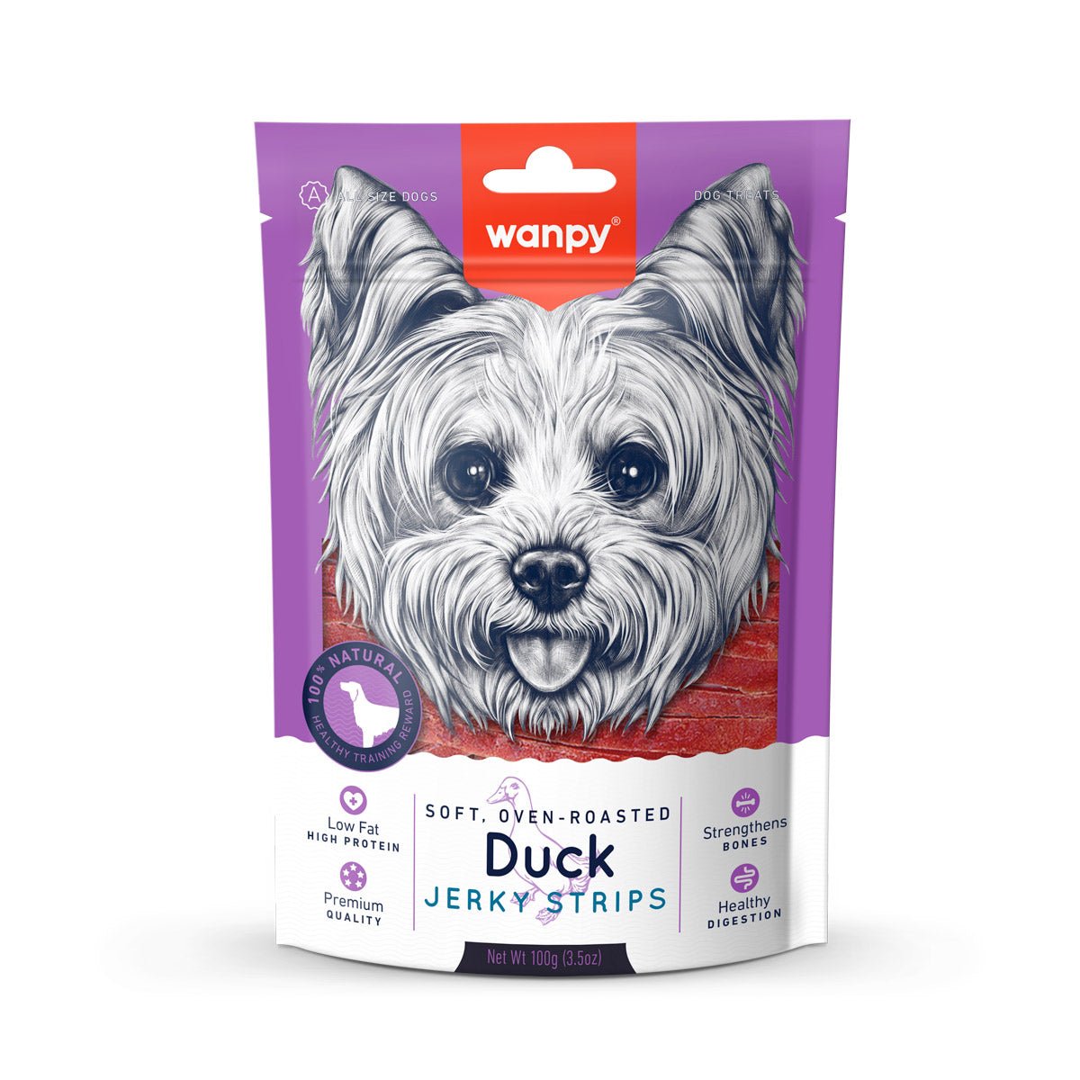 Wanpy Soft Duck Jerky Strips 100g - Shopivet.com