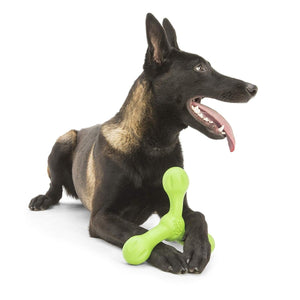 Westpaw Design Skamp with Zogoflex Echo - jungle - green - Shopivet.com