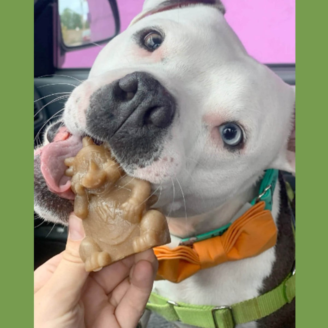 Whimzees Hedgehog Dental Dog Treats – Large (6pcs) - Shopivet.com