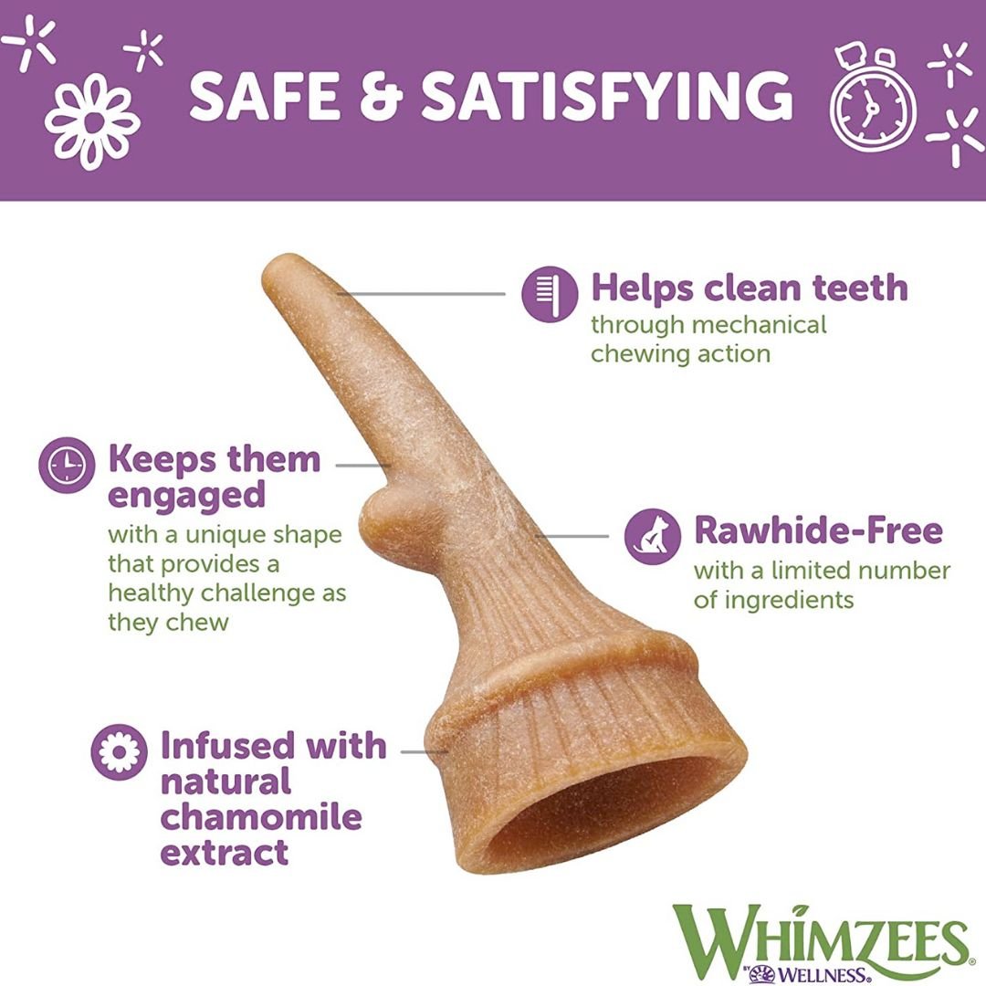 WHIMZEES Occupy Antler Natural Dental Chews for Dogs – Large (6pc) - Shopivet.com