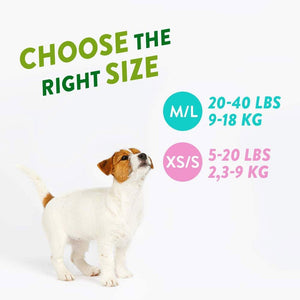 Whimzees Puppy Stix XS/S (14 Pcs) - Shopivet.com