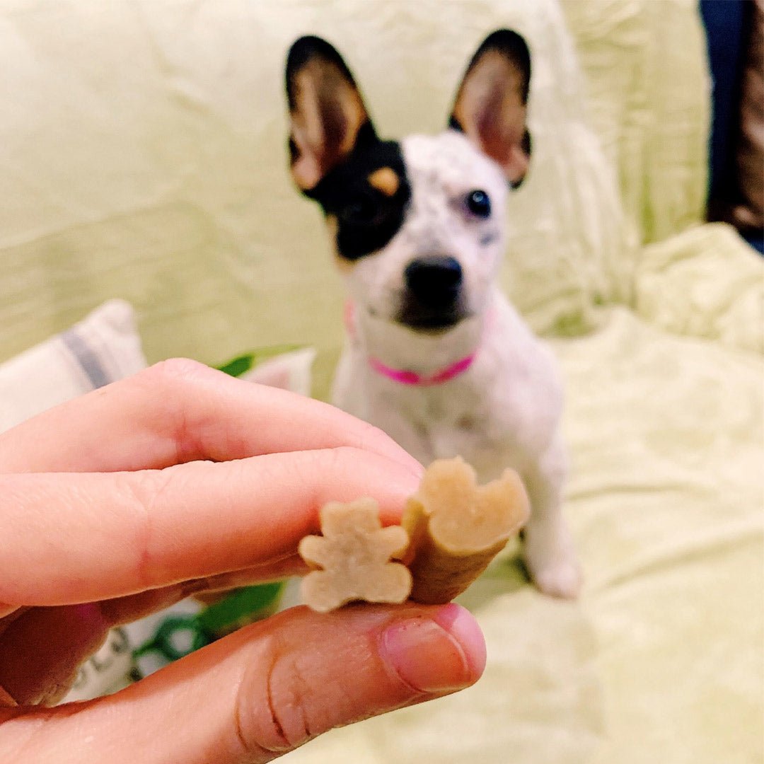 Whimzees Puppy Stix XS/S (14 Pcs) - Shopivet.com