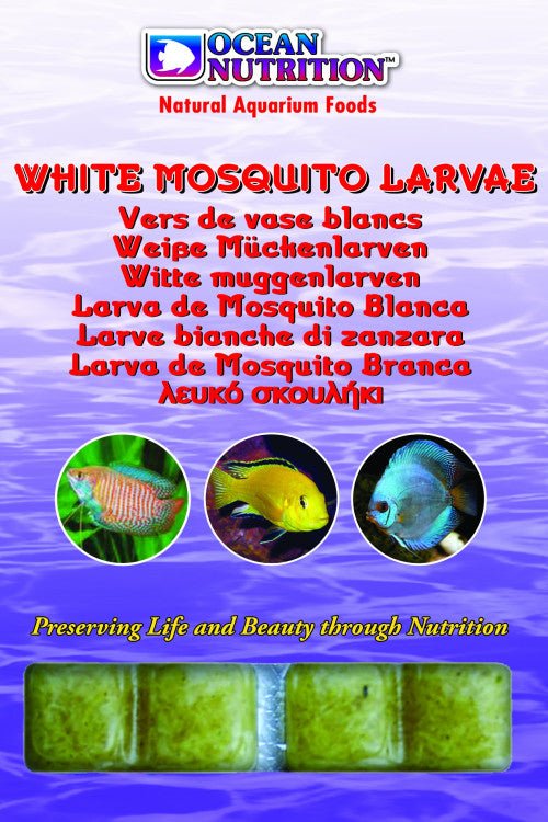 White Mosquito Larvae 100g - Shopivet.com