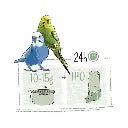 Witte Molen Puur Budgie 2Kg - Shopivet.com