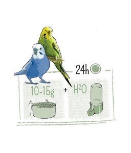 Witte Molen Puur Budgie 750g - Shopivet.com