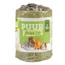 Witte Molen Puur Pauze Parsley Tube Carrot & Plantain green - 100g - Shopivet.com