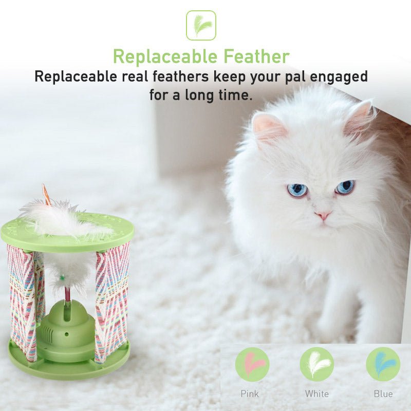Wonder Pod - Shopivet.com