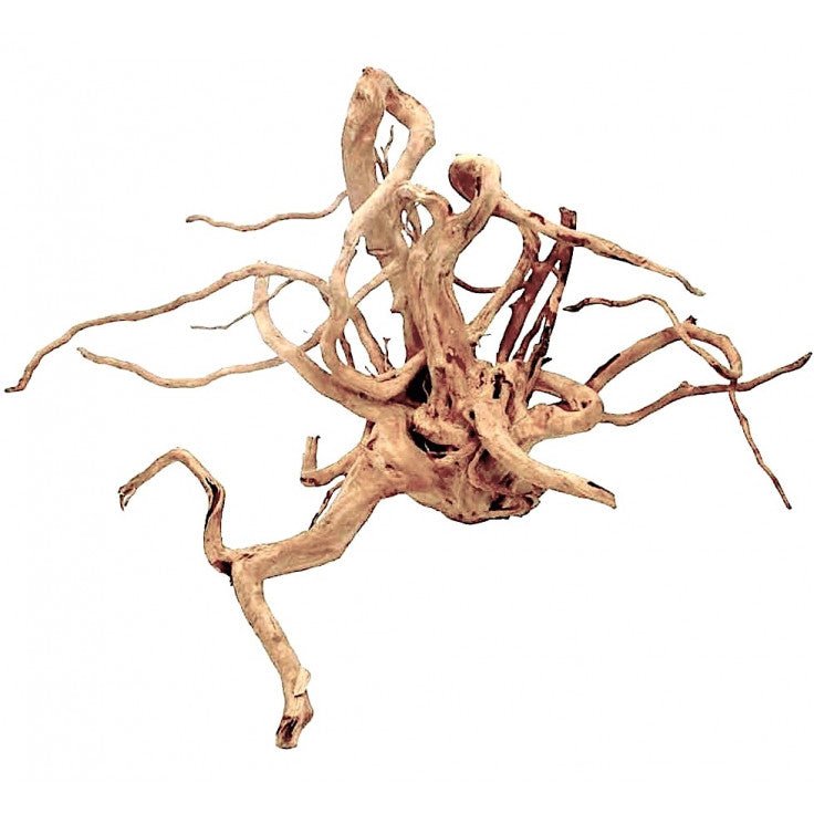 WOOD ROOT - LARGE / 41-50CM / BOX - Shopivet.com