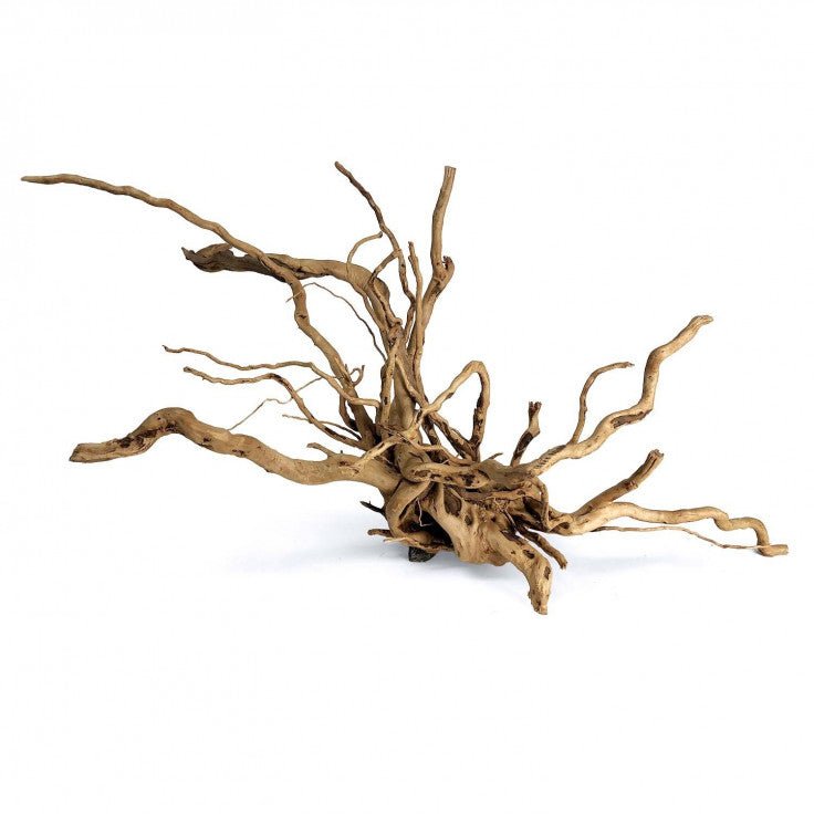 WOOD ROOT - MEDIUM / 31-40CM / BOX - Shopivet.com