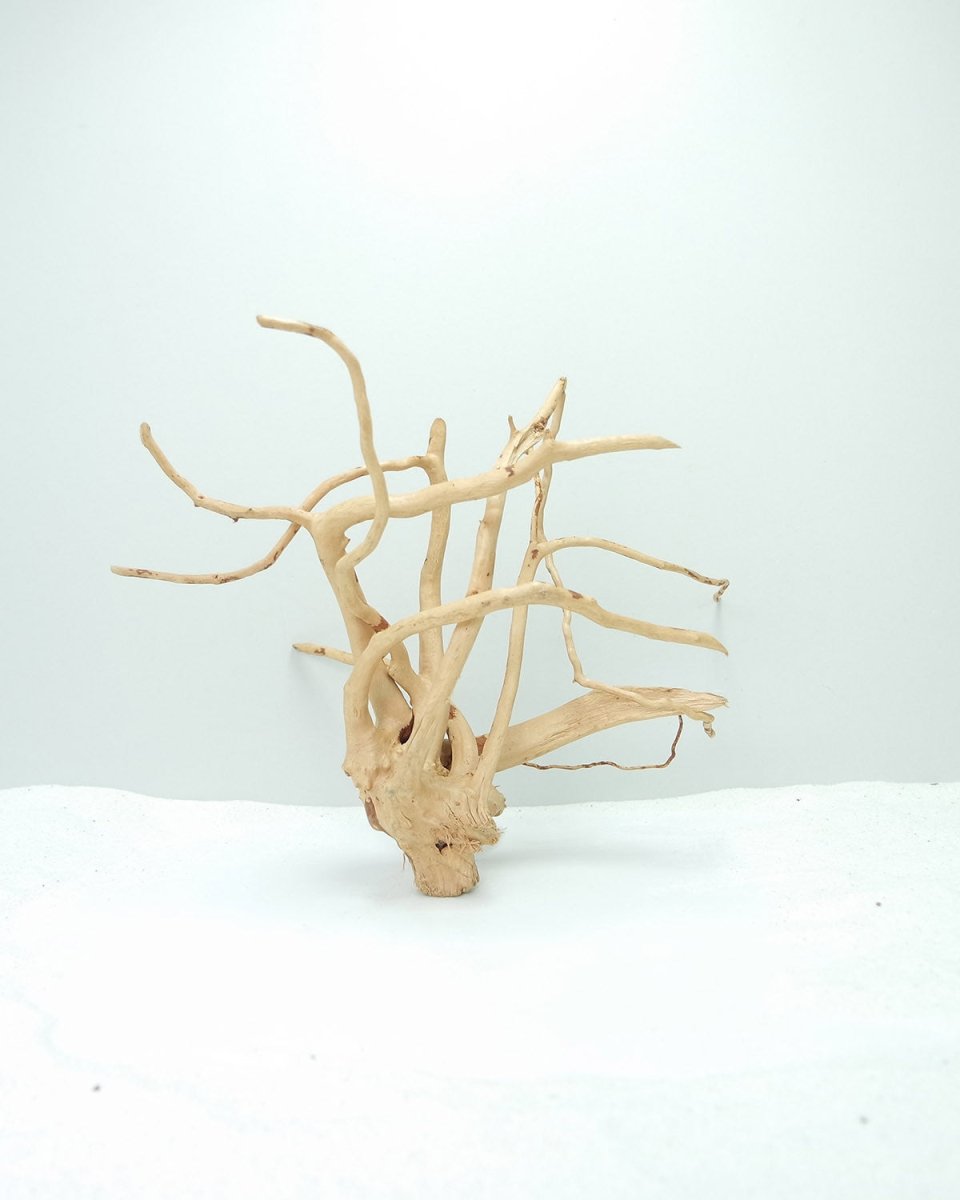 WOOD ROOT - MEDIUM / 31-40CM / BOX - Shopivet.com