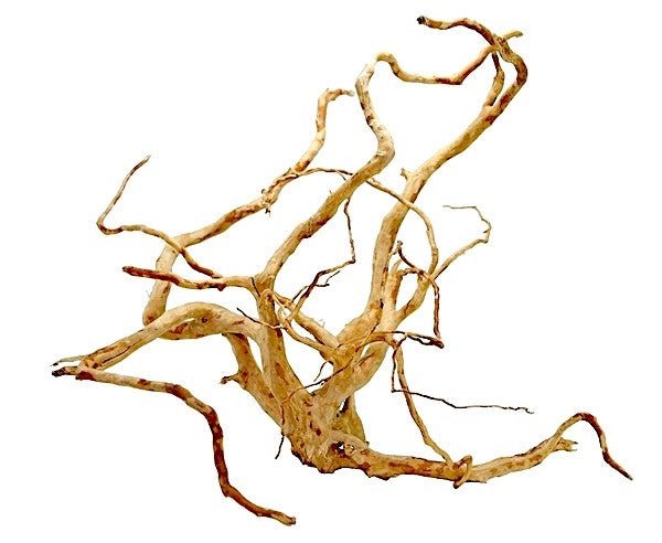 WOOD ROOT - MEDIUM / 31-40CM / BOX - Shopivet.com