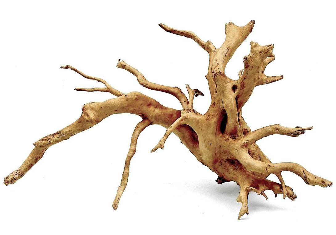 WOOD ROOT - XL / 51-60CM / BOX - Shopivet.com