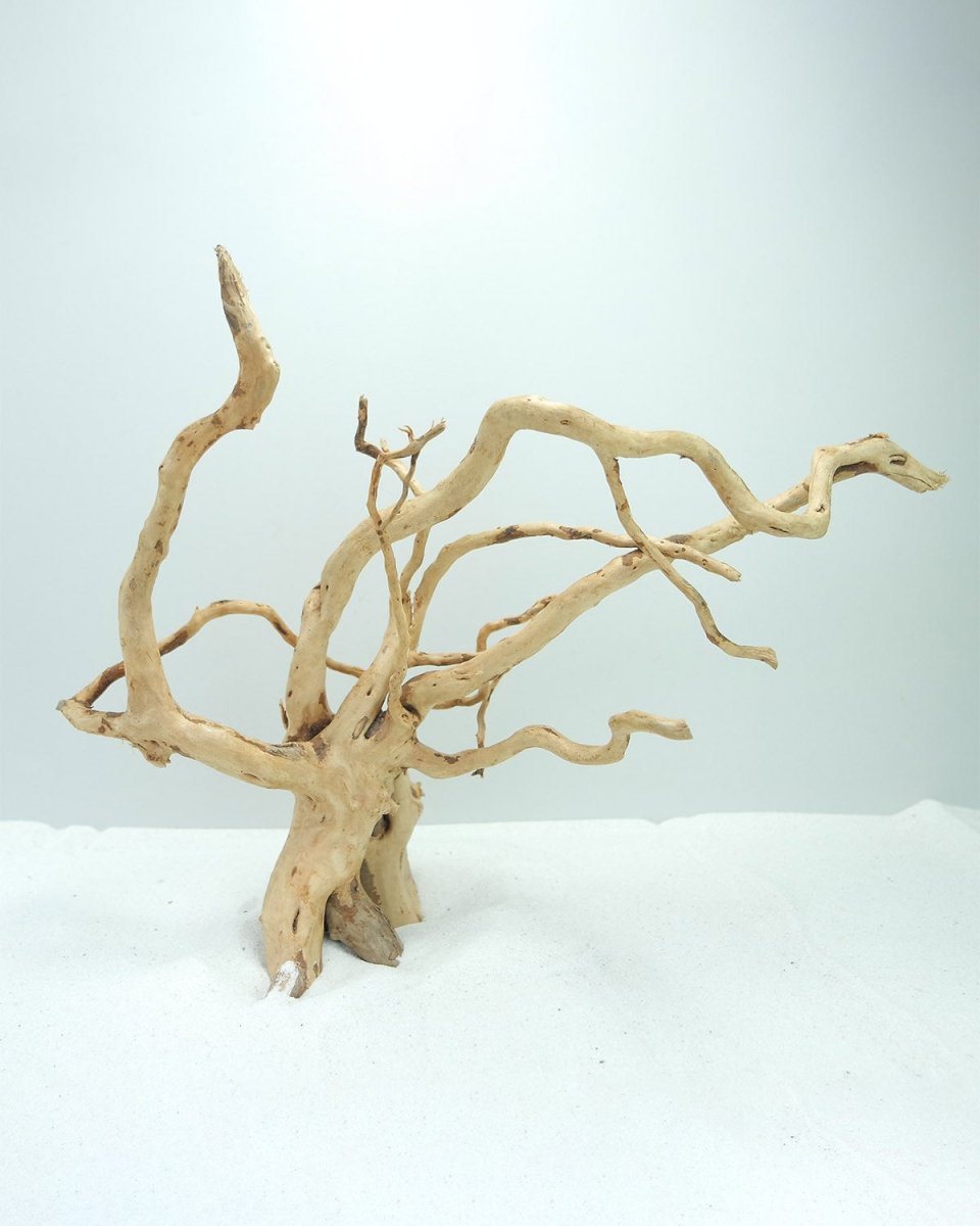 WOOD ROOT - XL / 51-60CM / BOX - Shopivet.com